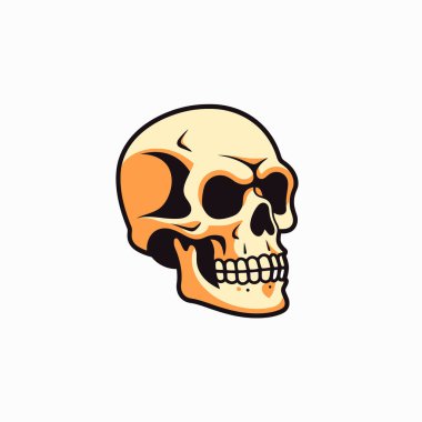 Anatomik olarak doğru insan kafatasları izole edildi. El Çizgisi Sanat Vektörü İllüstrasyonu.