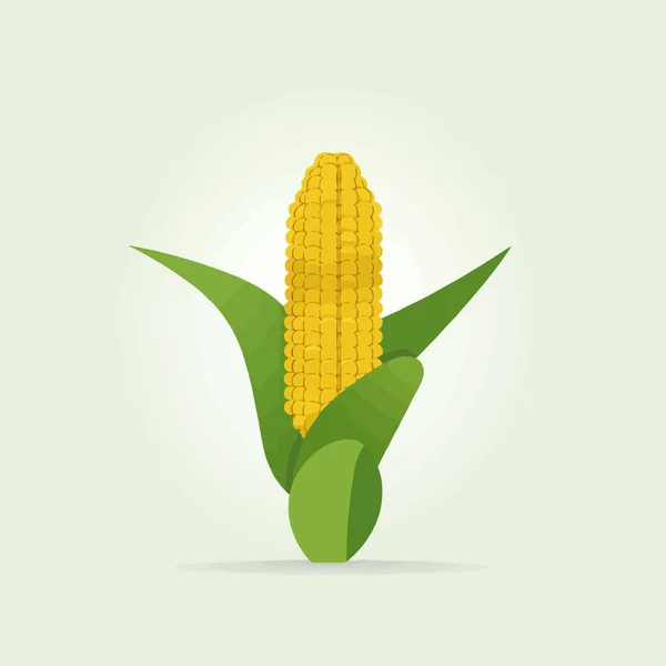 Сладкий Органический Кукурузный Початок Белом Фоне — стоковый вектор