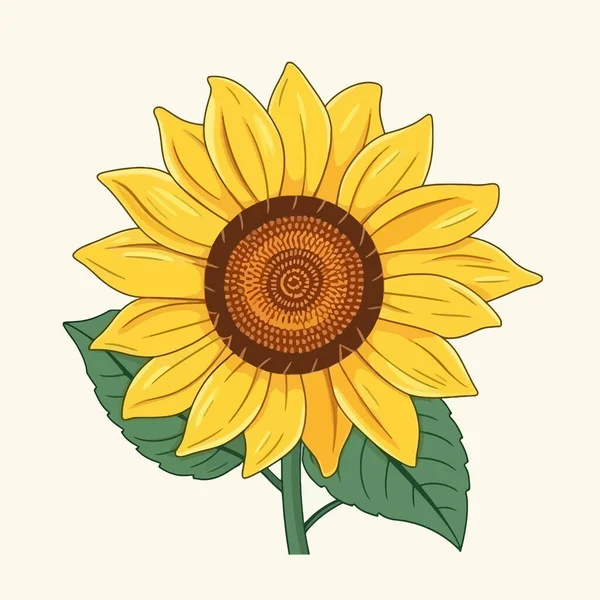 Żółty Kwiat Słonecznika Białym Tle Element Projektu Ikona Wektora — Wektor stockowy