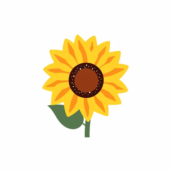 Yellow sunflower flower on a white background, design element, vector icon.