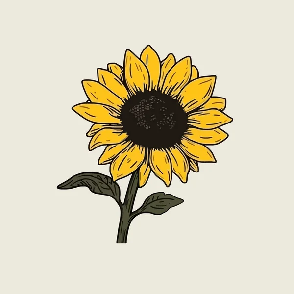 Żółty Kwiat Słonecznika Białym Tle Element Projektu Ikona Wektora — Wektor stockowy