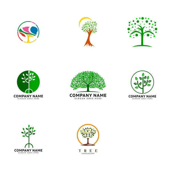 Conjunto Árvore Ícone Vetor Logotipo Modelo Ilustração Design — Vetor de Stock