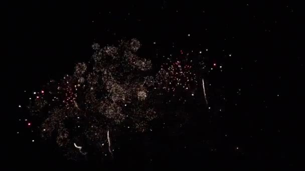 Holiday Welcome Fireworks Colorful Rockets — Wideo stockowe