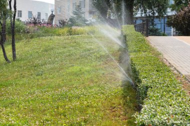 Automatic watering of green lawns and plants on the slope in the recreation area of the city park.