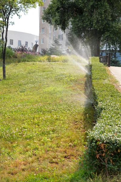 Sprinklers Water Green Lawn Slope City Park Warm Summer Day — Stock Photo, Image