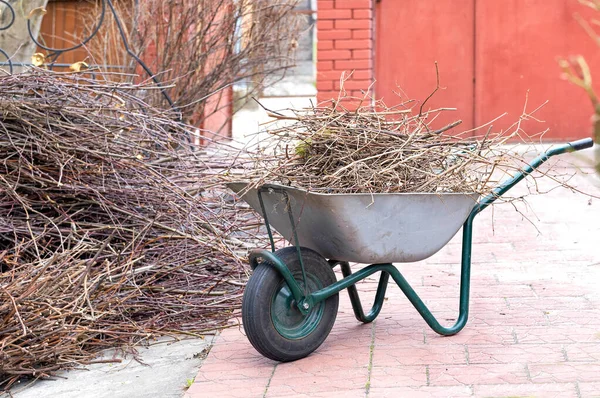 Spring Pruning Trees Garden Cut Branches Garden Wheelbarrow Piled Further — Stock Photo, Image