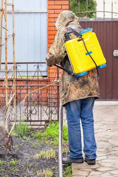在早春的时候 一个肩上扛着喷雾袋的农民为了保护植物不受真菌和寄生虫的侵害 在自家后院喷洒了一种杀菌剂 从而倾向于种植一种葡萄藤 垂直图像 — 图库照片