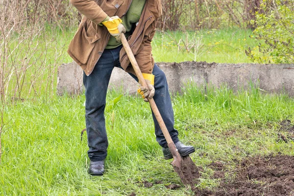 Jardineiro Desenterra Uma Cama Coberta Com Grama Verde Com Uma — Fotografia de Stock