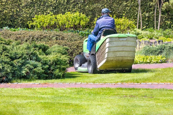 Jardinero Que Trabaja Conduce Una Cortadora Césped Tractor Corta Hierba —  Fotos de Stock