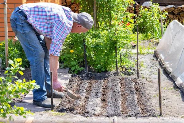 Giardiniere Maschio Applica Fertilizzante Letti Nel Cortile Appezzamento Personale Giorno — Foto Stock