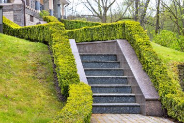 Parkın yamacındaki bahçe merdivenlerinin granit basamakları, her iki taraftaki çalılar tarafından çerçevelenmiş, arka plandaki evin ön cephesine çıkıyor..