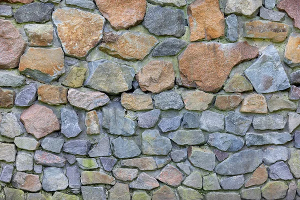 Kamenná Stěna Dlážděná Velkými Dlaždicemi Malý Ptáček Sedí Pokrouceném Hnízdě — Stock fotografie