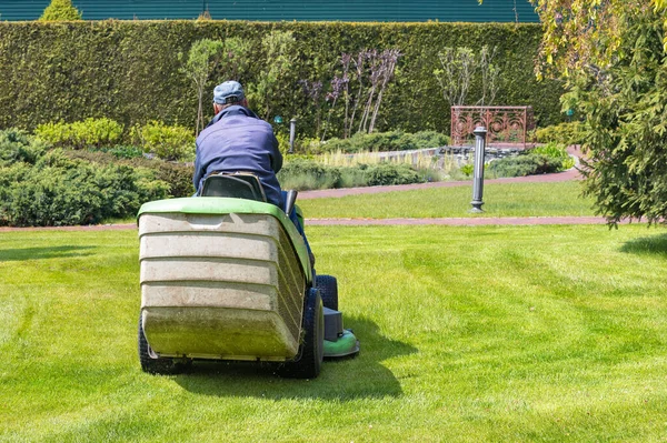 stock image The gardener drives a tractor lawn mower and cuts the green grass of the lawn on a bright spring day. Copy space.