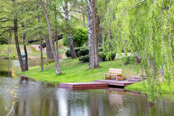 나무로 가까이 연못의 근처에 아름답고 풍경의 — 스톡 사진