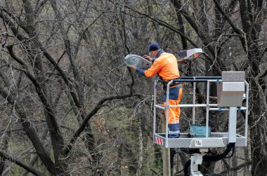 İlkbaharın başlarında, turuncu üniforma giyen bir işçi çıplak ağaçlarla çevrili bir asansörde, doğa yenileme kavramını yansıtan bir sokak lambası tutuyor.