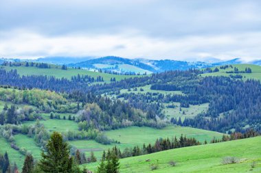 Bereketli yeşil tepeler yumuşak bulutlarla dolu bir gökyüzünün altında yavaşça yuvarlanarak dağlarda sakin bir atmosfer yaratıyor. Ağaçlar manzarayı noktalıyor, huzurlu manzaraya canlı renkler ekliyor..