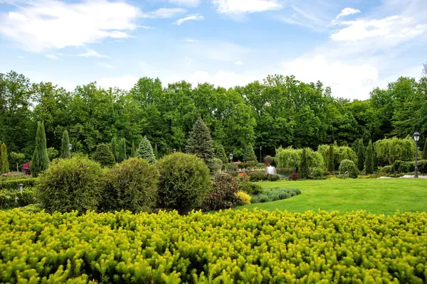 Çeşitli şekil ve renklerde bitkilerle dolu canlı bir bahçe, manikürlü çimenler ve sanatsal peyzajlar sergileniyor..