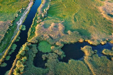 Güneş ışığı, nehirlerin huzur içinde dolaştığı canlı yeşil sulak alanlarda dans eder. Bu sakin manzara, alacakaranlığın yumuşak parıltısında doğanın güzelliğini yansıtıyor. Hava fotoğrafı.