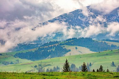Uçsuz bucaksız yeşil çayırlar, dönen bulutlarla çevrili yüksek tepelerin altında uzanıyor. Taze çiğ çimenlerde parıldıyor. Doğa, sabahın erken saatlerinde yumuşak kucaklamalarında nefes alırken..