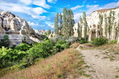 Yeşilliklerle bezenmiş, gün ortası sıcacık ışıklarıyla yıkanmış, çarpıcı kaya oluşumlarının arasından geçen büyüleyici bir yol. Uzun ağaçlar kabarık bulutların arkasında gururla durur..