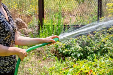 Bir insan güneşli bir günde çeşitli bitkileri sulamak için bir hortum kullanarak serpilen bahçesine eğilimlidir. Bereketli yeşillik ve renkli çiçekler sakin bir atmosfer yaratır. Boşluğu kopyala.