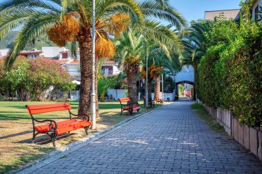 Huzurlu bir park yolu zarif palmiyelerle süslenir. Parlak kırmızı banklar ziyaretçileri güneşin altında dinlenmeye davet ederken, arka planda çiçek açan doğa ve büyüleyici mimari ile çevrili..