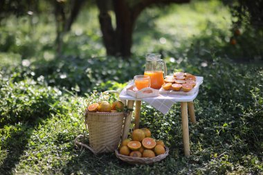 Güneş doğarken portakal bahçesinde portakal suyu.