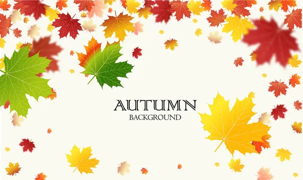 秋の落下は背景ベクトルテンプレートを残します 葉ベクトル — ストックベクタ