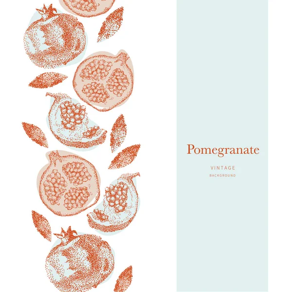 Hand drawing illustratiion pomegranate. Vector illustration for organic shop. Background for menu, flyer or leaflet