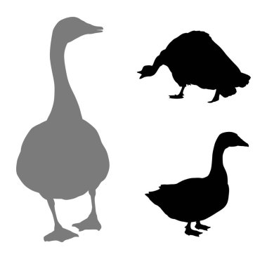 Kaz vektör silueti. EPS 8