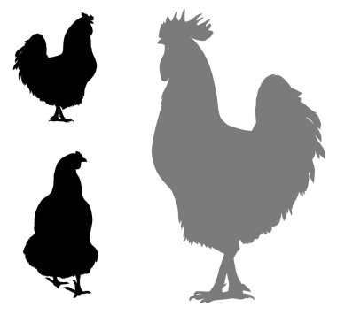 Tavuk ve horozun vektör siluetleri. EPS8