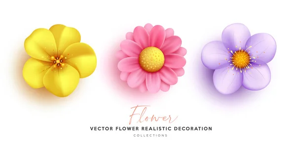 Flower Colorful Decoration Realistic Collections Design Isolated White Background Eps10 — Stock Vector