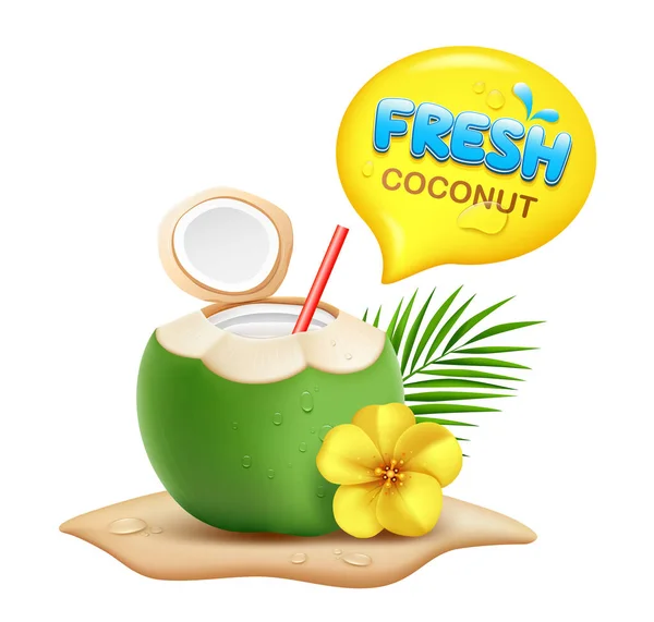 Kokosnussfrüchte Frisch Und Blühen Kokosblatt Realistischer Sandhaufen Wassertropfen Und Gelbe — Stockvektor