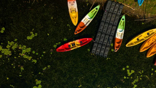 Vue Aérienne Kayak Dans Une Zone Humide Jardin Botanique Rayong — Photo