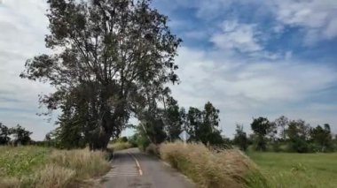 Kırsal kesimde, Lopburi 'de, Tayland' da.