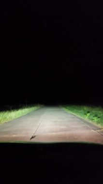 Gece kırsal kesimde araba kullanmak. Ön cam ve gerçek zamanlı bakış açısı.