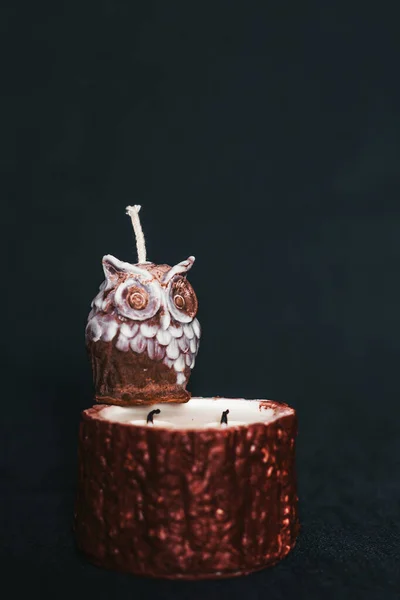 stock image Candles in the shape of an owl on a tree stump. Holiday advent. Beautiful handmade candles. Cozy atmosphere