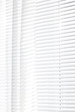 Window. Jalousie. Curtains. Vertical clean background
