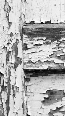 Eski kapılar. Siyah ve beyaz fotoğraf