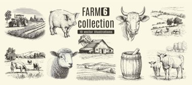 Rural meadow or countryside farm set. A village landscape with cows, goats and lamb, hills and a farm.