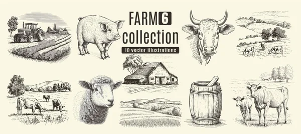 Rural Meadow Countryside Farm Set Village Landscape Cows Goats Lamb — Stock Vector