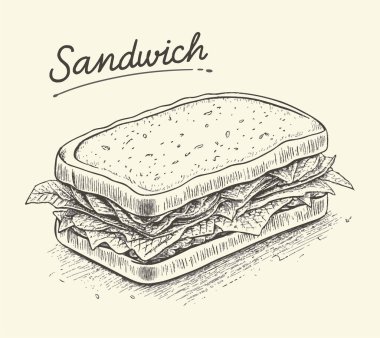 Hand Drawing Food Sketch Illustration of Sandwich