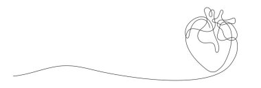 İnsan kalbi bir çizgi vektör çizimi. Vücut anatomisi kesintisiz sanat çizimi.