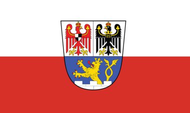 Alman bölgesel başkenti ERLANGEN 'in resmi bayrak illüstrasyonu, GERMANY