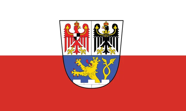 Offizielle Flaggenvektordarstellung Der Deutschen Landeshauptstadt Erlangen Deutschland — Stockvektor
