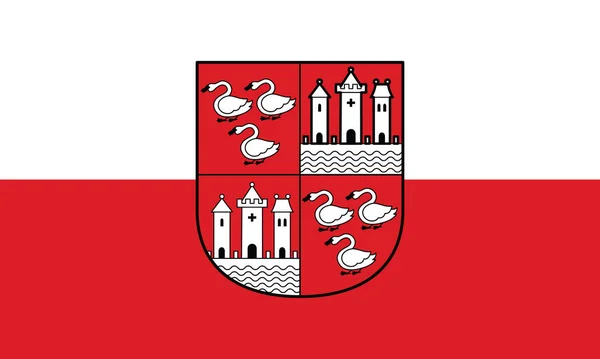 Officiella Flaggan Vektor Illustration Den Tyska Regionala Huvudstaden Zwickau Tyskland — Stock vektor