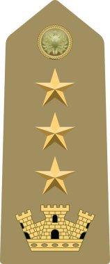 Shoulder pad military officer insignia of the Italy COLONNELLO (COLONEL)