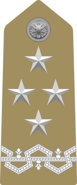 Shoulder pad military officer mark for the GENERALE (GENERAL) insignia rank in the Italian Army