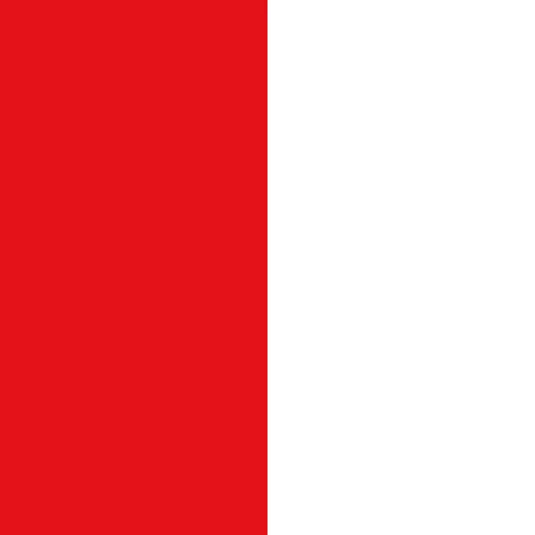Belçika Nın Tournai Kentinin Resmi Bayrak Illüstrasyonu Belgium — Stok Vektör