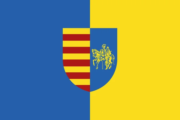 Officiella Flaggan Vektor Illustration Den Belgiska Staden Genk Belgien — Stock vektor